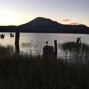 Meet your Posher, Bailey